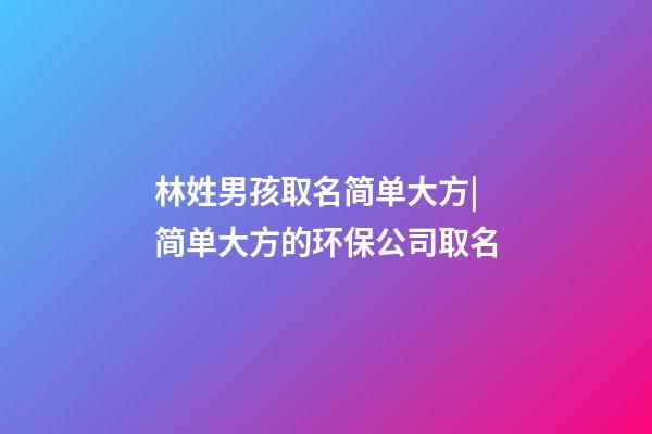 林姓男孩取名简单大方|简单大方的环保公司取名-第1张-公司起名-玄机派